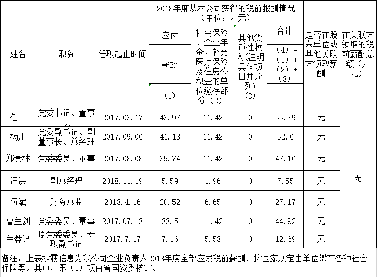 腾龙国际平台负责人2018年度薪酬情况