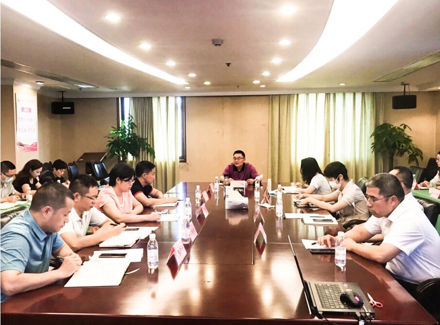 腾龙国际平台集团召开2020年半年风控委工作会议