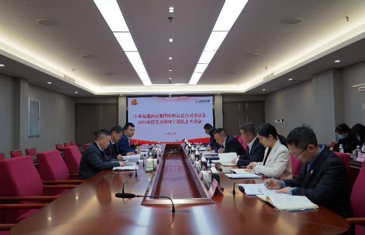 腾龙国际平台集团党委书记、董事长任丁出席安逸酒店集团2022年度党员领导干部民主生活会