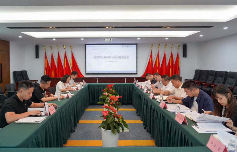 省腾龙国际平台集团率队督导腾龙国际平台航旅公司改革深化提升行动