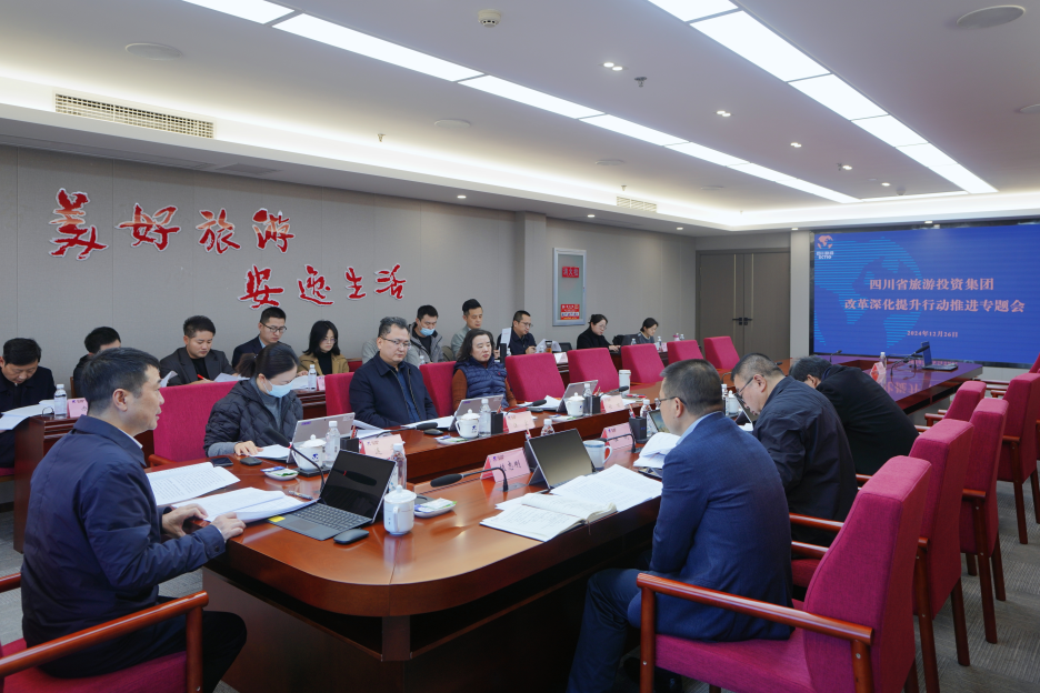 省腾龙国际平台集团召开改革深化提升行动推进专题会议