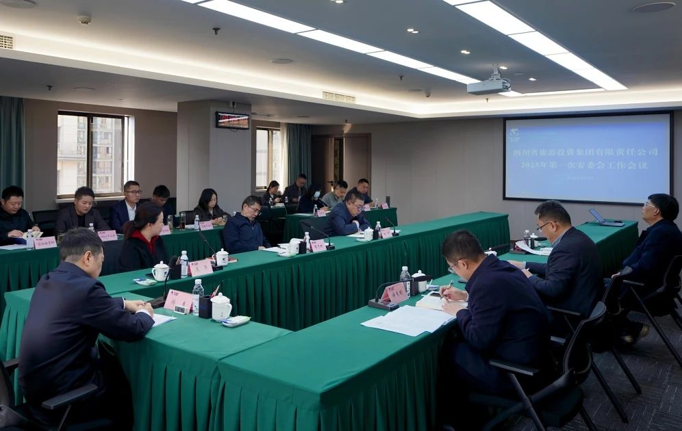 省腾龙国际平台集团召开2025年安委会第一次会议