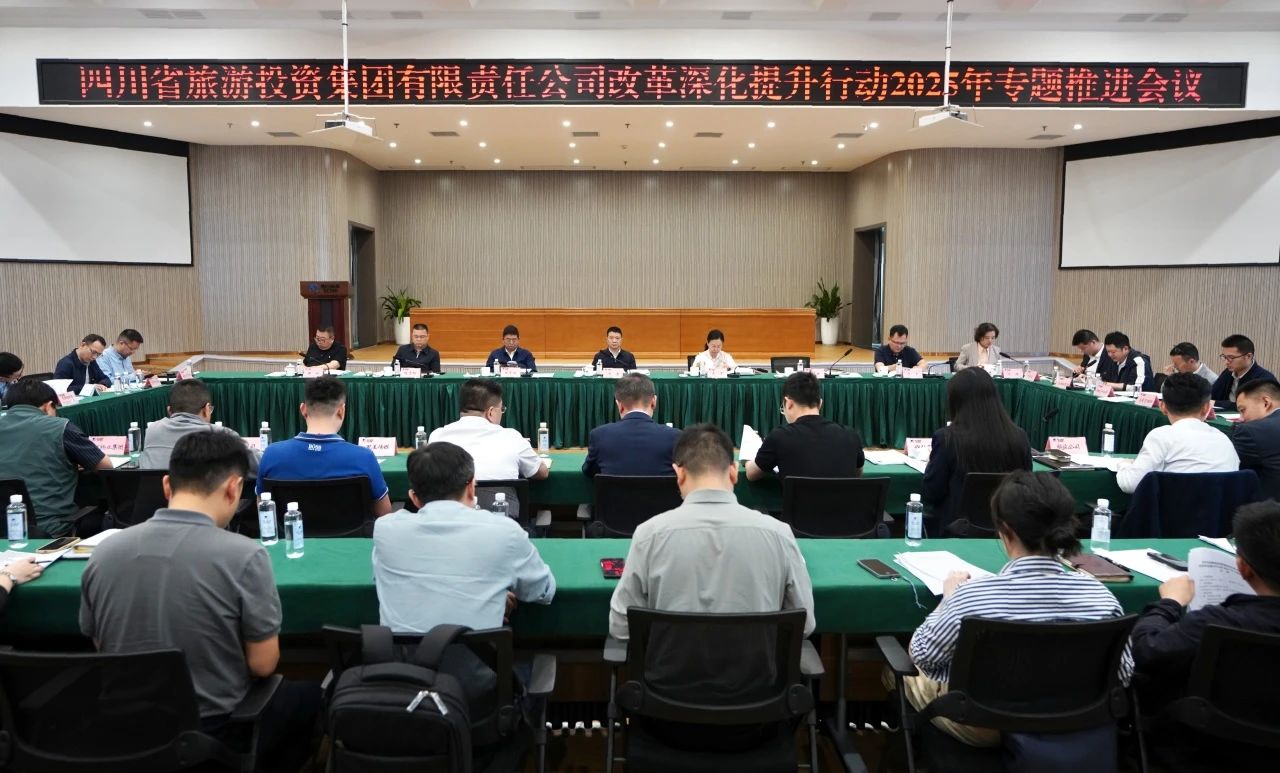 省腾龙国际平台集团召开改革深化提升行动2025年专题推进会